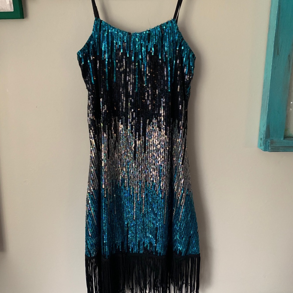 Sequin 1920s Flapper Fringe Costume/Dress